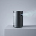 Ice Mist Fan